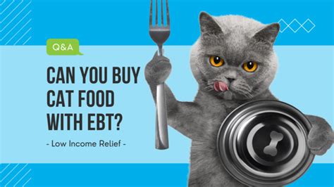 can you buy cat food on ebt