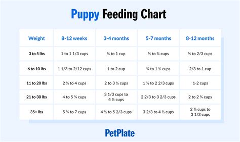 can you give dogs baby food: Exploring the Nuances and Alternatives in Feeding Your Canine Companion