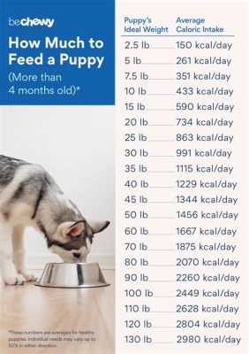 how many cups in 16 lbs of dog food: Delving into the Nuances of Feeding Our Canine Companions